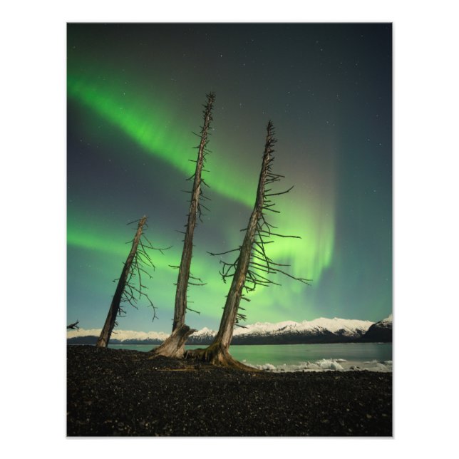 Foto Spruce Aurora Esquecido (Frente)