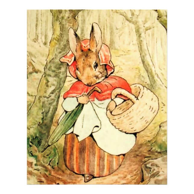 Foto Sra. Rabbit vai ao mercado por Beatrix Potter (Frente)
