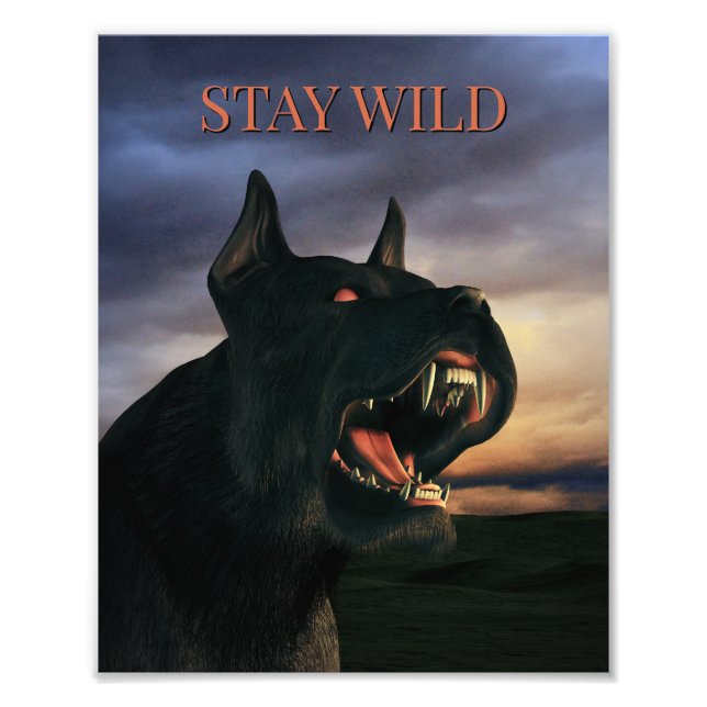 Foto Stay Wild. Big, black dog (Frente)