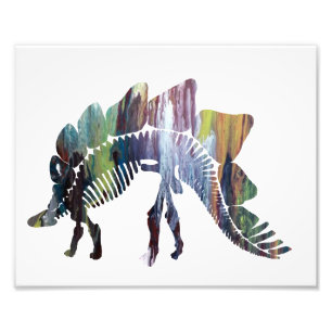 Foto Stegosaurus
