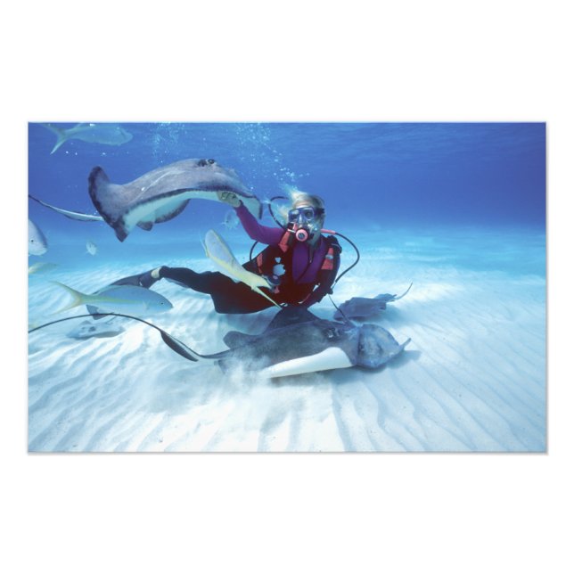 Foto Stingray City, Grand Cayman, Ilhas Cayman, (Frente)