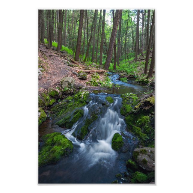 Foto Stream Along the Trail  (Frente)