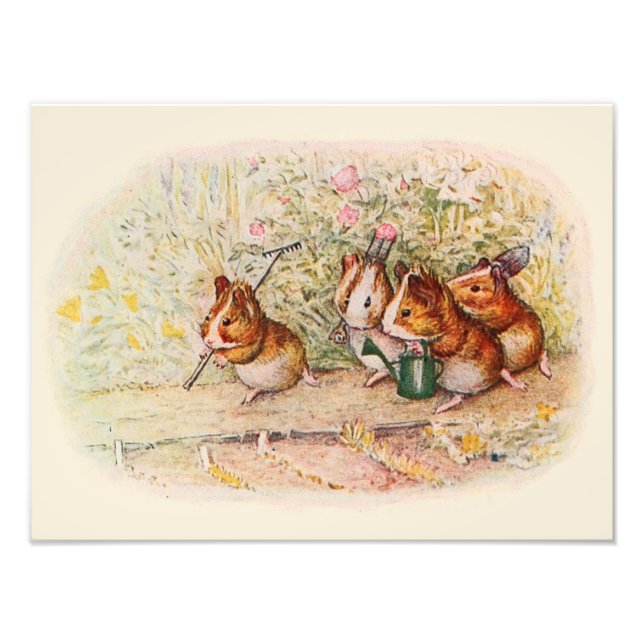 Foto Suínos guineenses e ferramentas para jardim (Frente)