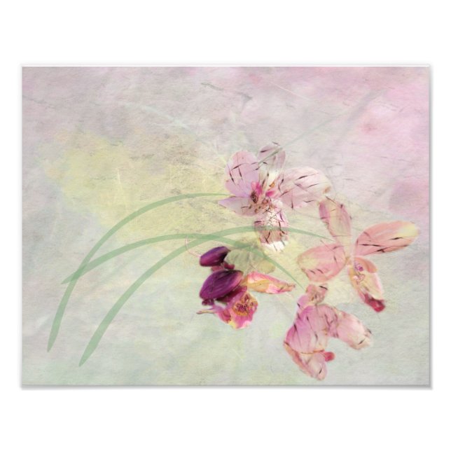 Foto Summer Breeze (Frente)