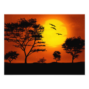 Foto Sunset Africano