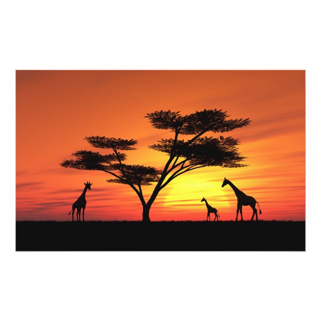 Foto Sunset Africano (Frente)