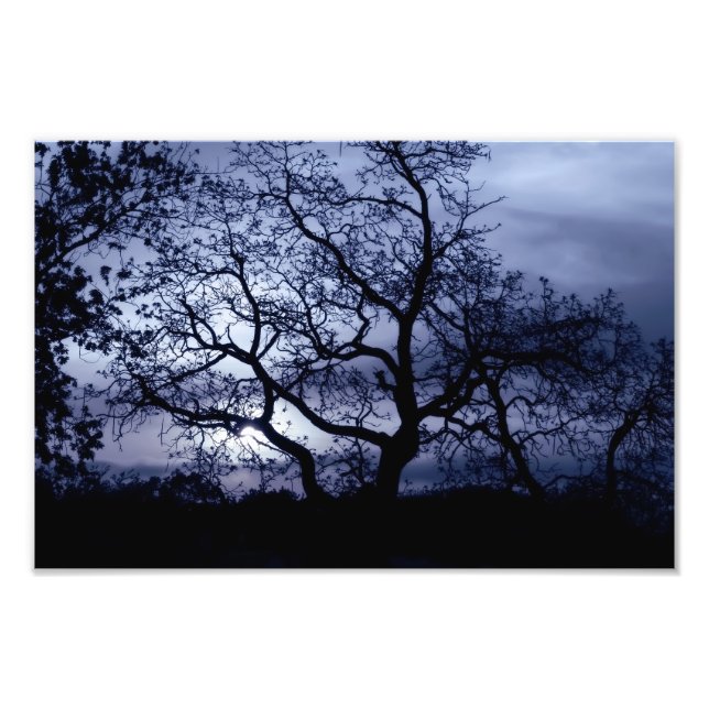 Foto Sunset de meia-noite (Frente)