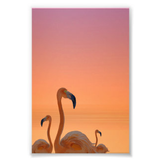 Foto Sunset Flamingo Tropical Poster