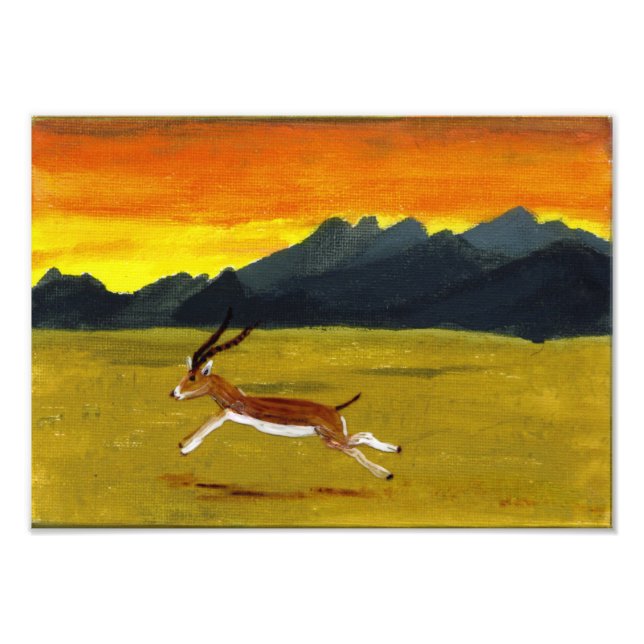 Foto Sunset Gazelle Art (Frente)