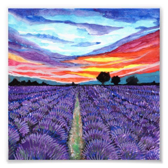Foto Sunset no campo de Lavanda (Frente)