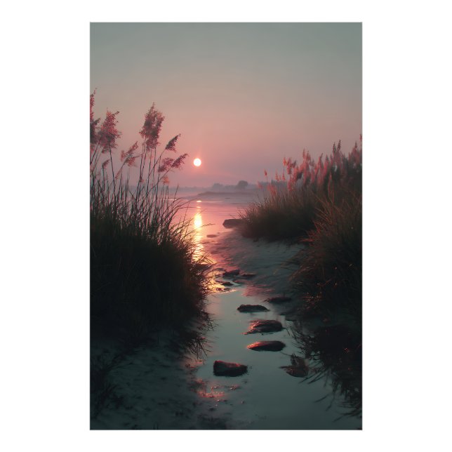 Foto Sunset Reeds Stream Coastal Path Glow (Frente)