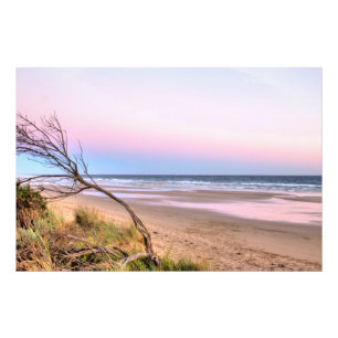 Foto Sunset Rosa