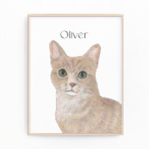 Tabby Cat Personalizado Laranja