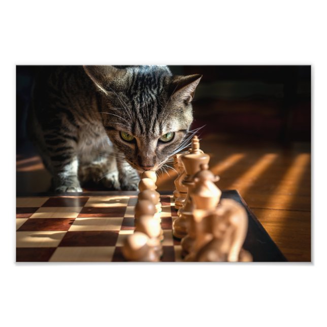 Foto Tabby Cat Playing Chess (Frente)