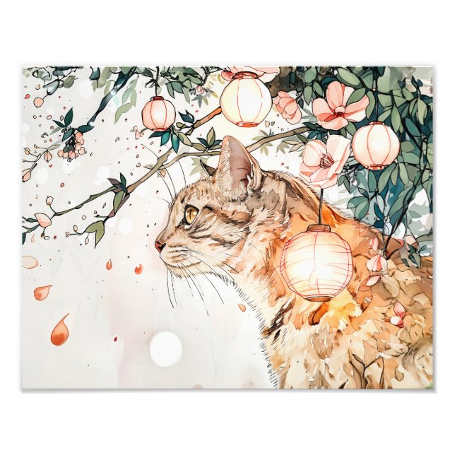 Foto Tabby Geisha Cat Entre Lanternas Brilhantes em Chi (Frente)