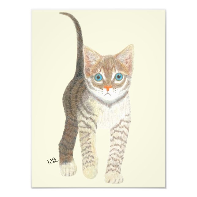 Foto Tabby Kitten Poster (Frente)