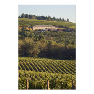 Foto Tan Building Summit fica em cima da colina