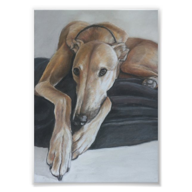 Foto Tan Greyhound Dog Art Impressão (Frente)