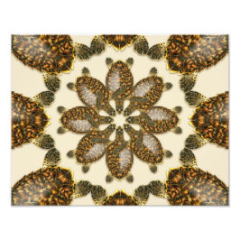 Foto Tartaruga Marinha Esgarçada Kaleidoscópica Impress