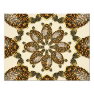 Foto Tartaruga Marinha Esgarçada Kaleidoscópica Impress