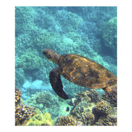 Foto tartaruga no mar