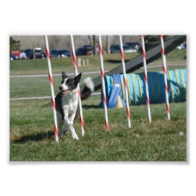 Foto TeeVee (Frente)