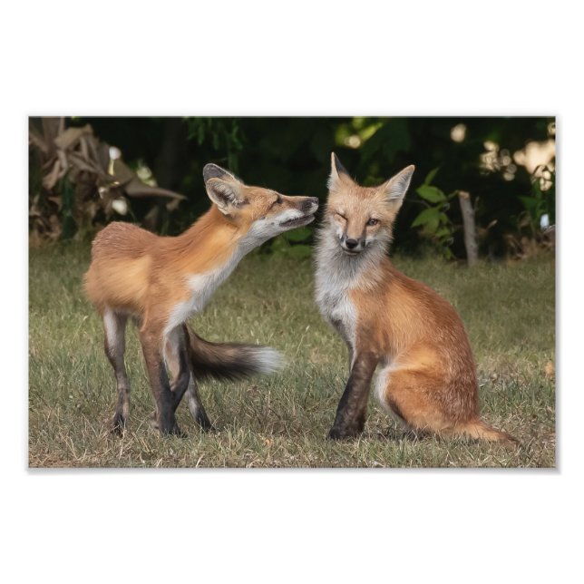 Foto Tem Uma Casa? (Frente)