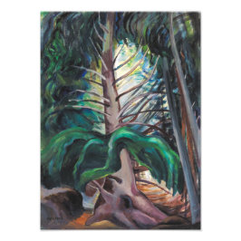Foto Temporizador Antigo | Emily Carr |