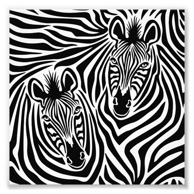 Foto Tendy Zebra Imprime Padrão Branco E Preto (Frente)