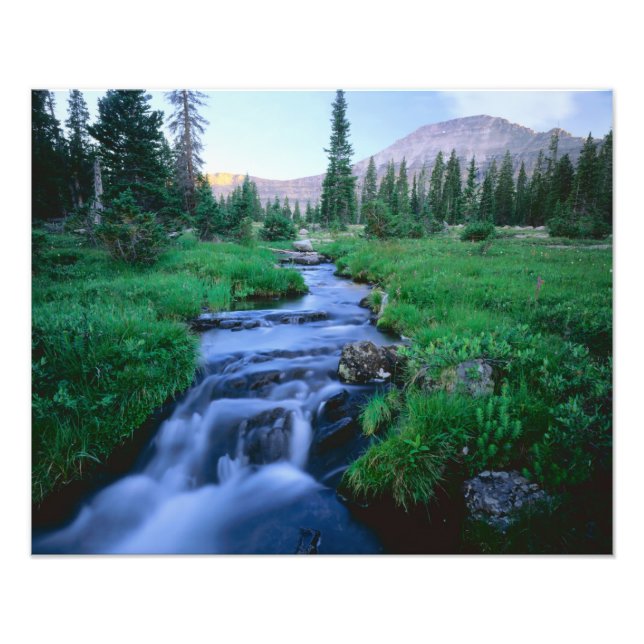 Foto TERRA SELVAGEM DE HIGH UINTAS, UTAH. Stillwater Fo (Frente)