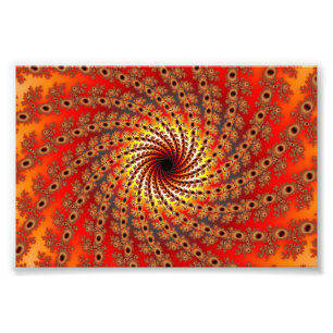 Foto Terrapin Spin Arte Fractal