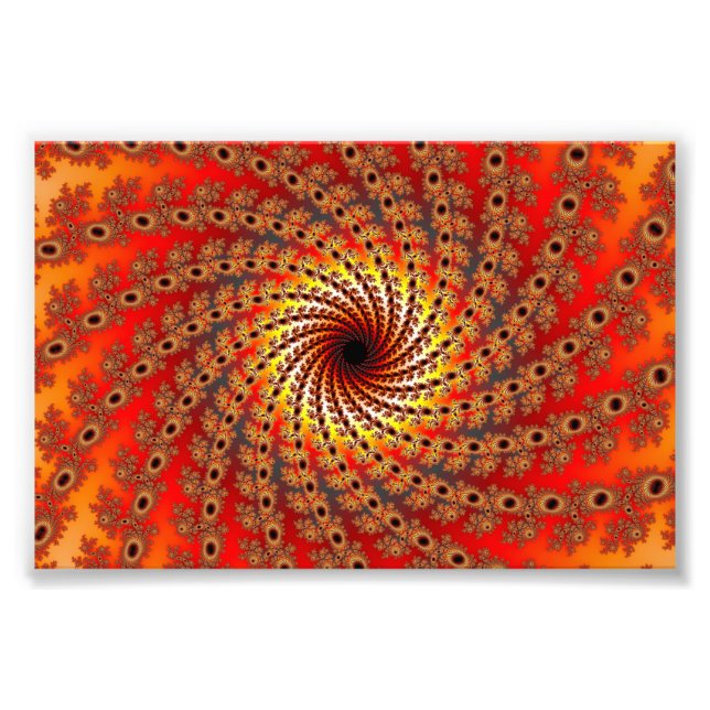 Foto Terrapin Spin Arte Fractal (Frente)