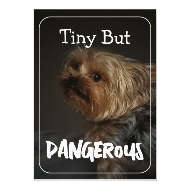 Foto Terrier Mãe de Cachorro Personalizado Fofo Pet (Frente)