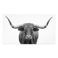 Texas Longhorn Bull Black White