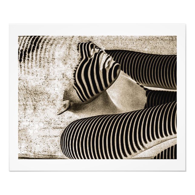 Foto The Guardian (Sepia) (Frente)