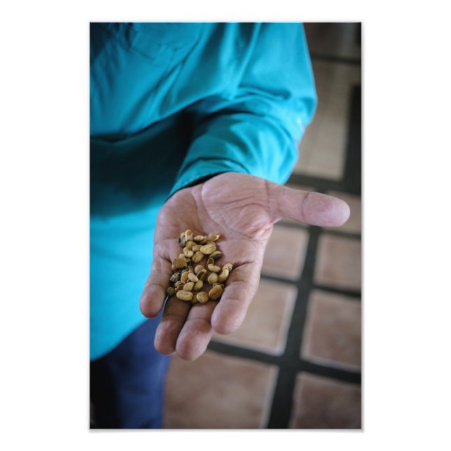 Foto The Hand That Guides (Frente)