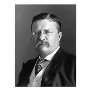 Foto Theodore Roosevelt Teddy Presidente Republicano