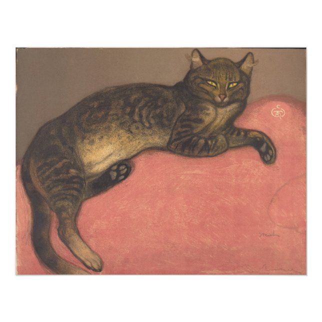 Foto Théophile Steinlen | Inverno: Gato numa almofada (Frente)