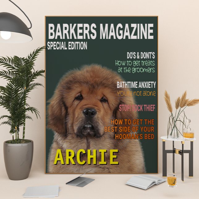 Foto Tibetan Mastiff Parody Magazine Cover (Criador carregado)
