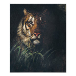 Foto Tiger: Pintura na cabeça de Abbott Handerson Thaye