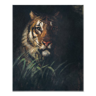 Foto Tiger: Pintura na cabeça de Abbott Handerson Thaye