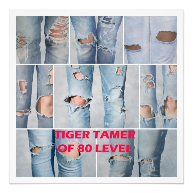 Foto Tiger tamer of 80 level (Frente)