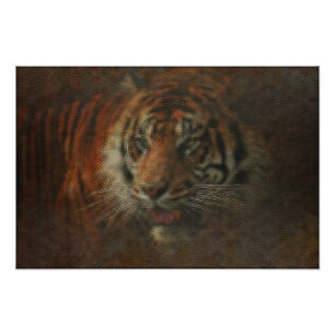Foto Tigre