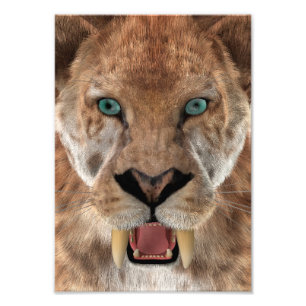 Foto Tigre Dente de Sabre ou Smilodon