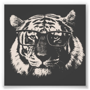 Foto Tigre do hipster com vidros