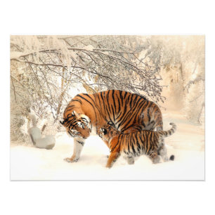 Foto Tigre e filhote lindos na neve