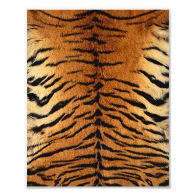 Foto Tigre Impressão de peles com pelo (Frente)