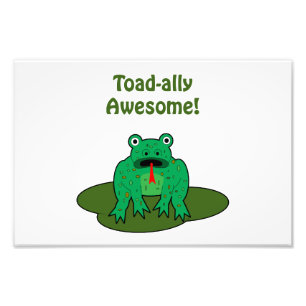 Foto Toad-ally Incrível