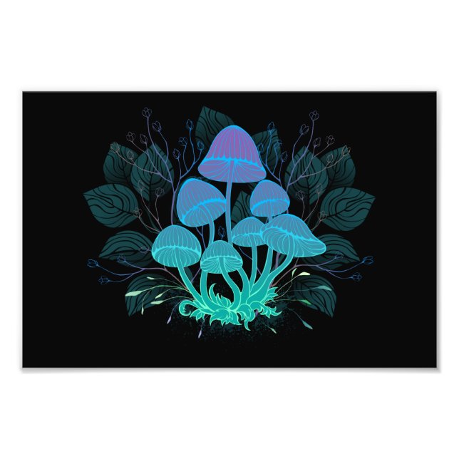 Foto Toadstools em arbustos (Frente)