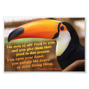 Foto Toco Toucan com 145:15 do salmo - 16